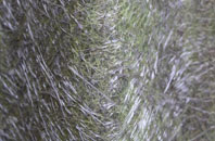 Gwaun Cae Gurwen fibreglass roof work